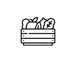 Biokisten
